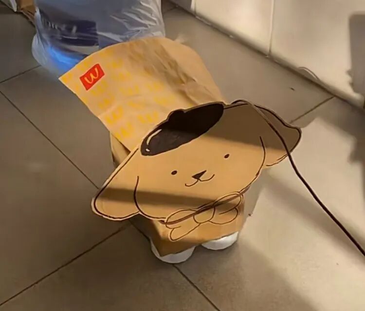 宠物包毛纸有什么用_大学生制作纸壳宠物_高校流行纸壳宠物