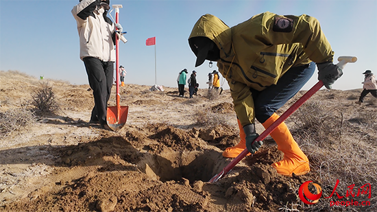 志愿者挖坑种树。人民网 刘文邦摄