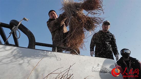 仲麟（左一）为志愿者分发树苗。人民网 刘文邦摄