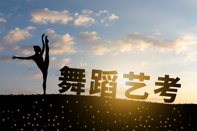 2026艺考文化考试题_艺术类专业省级统考_校考规模缩减