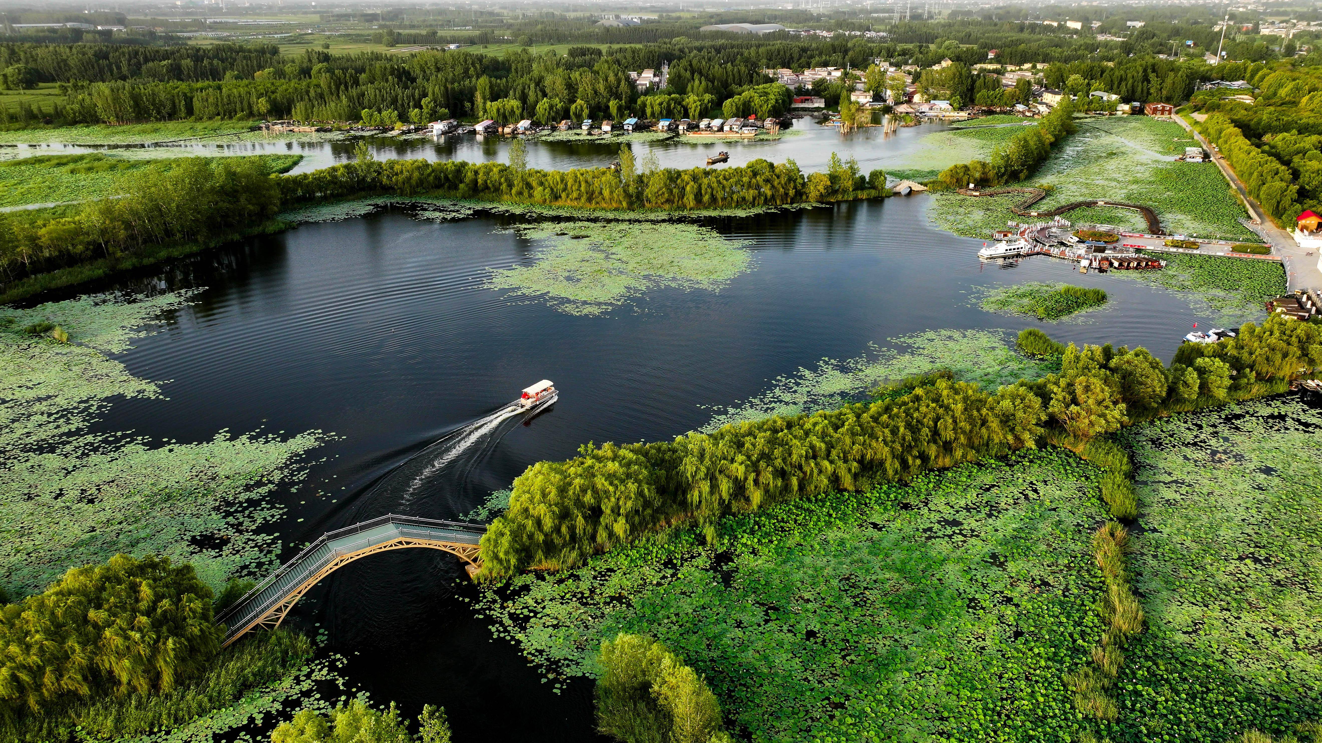 （图源：新华社）