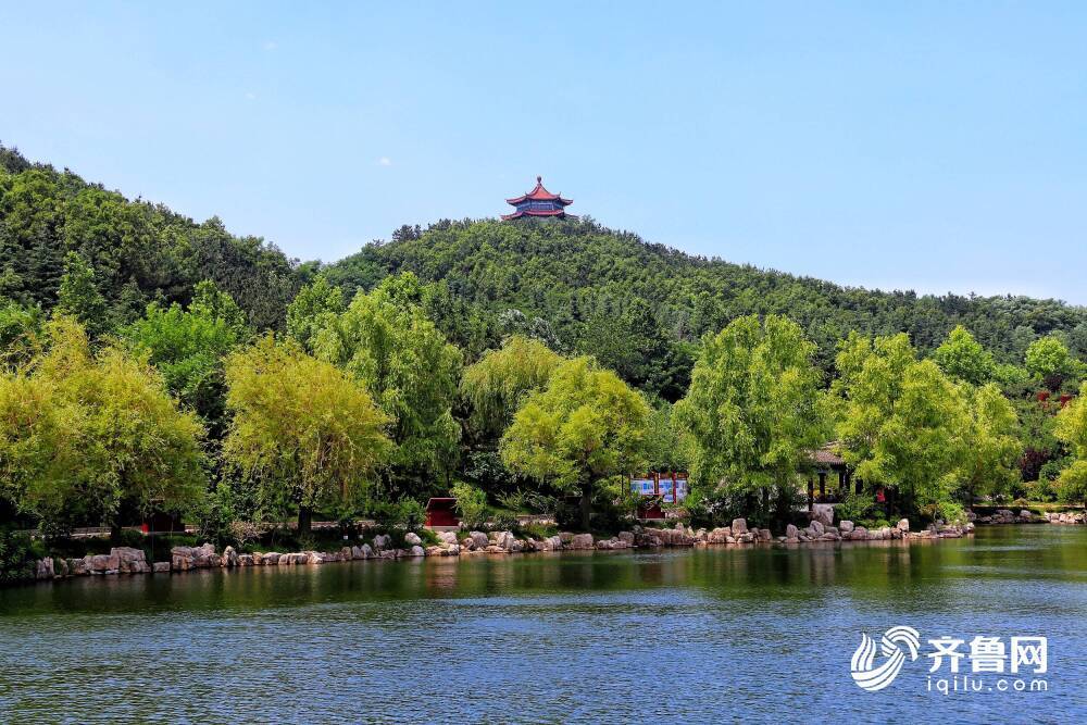 （图源：齐鲁网）