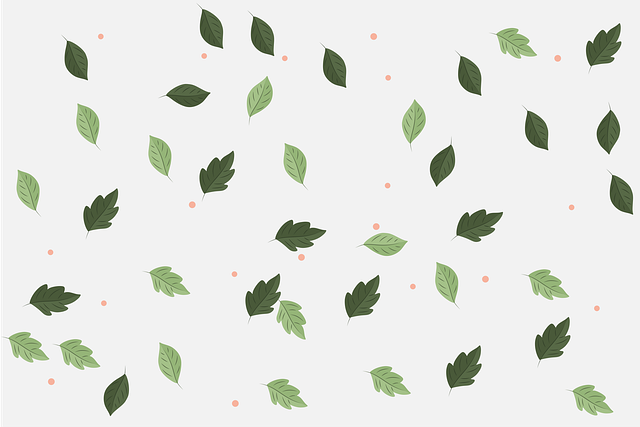 四川省广元树人中学校更新简介