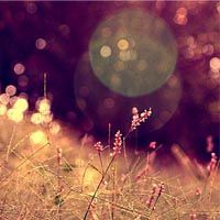 PP助手ITOOLS安装教程_安装非越狱软件_ipad不越狱用什么下载软件