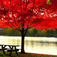 PP助手ITOOLS安装教程_安装非越狱软件_ipad不越狱用什么下载软件