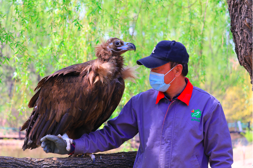 沈阳森林动物园五一活动_沈阳熊猫馆_沈阳世博园花朝节
