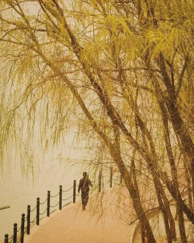 兰州大学生态环境治理_沙尘暴素材_兰州大学沙尘暴研究