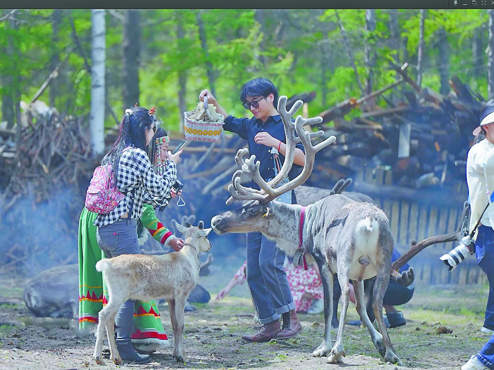 满洲里额尔古纳扎兰屯秋季旅游攻略_自驾游呼伦贝尔大草原攻略_呼伦贝尔自驾旅拍线路