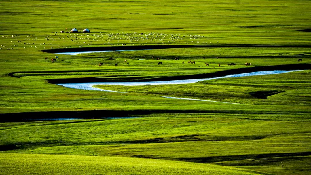 7天环游呼伦贝尔自驾游_呼伦贝尔大草原莫日格勒河穿越行程_自驾游呼伦贝尔大草原攻略