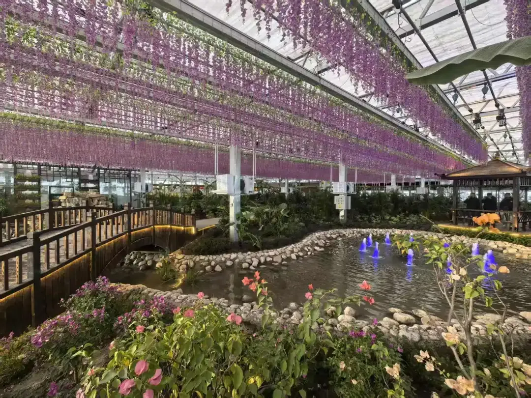 自驾游呼伦贝尔大草原攻略_呼伦贝尔三月末赏花攻略_红毛柳观赏指南