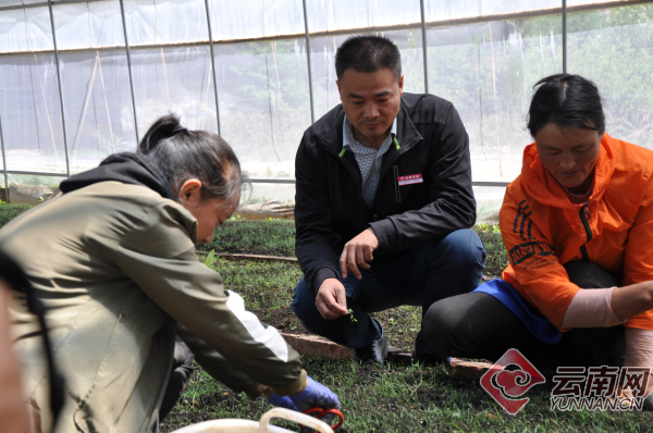 美丽中国梦生态中国行迪庆_生态文明与建设美丽中国梦_生态迪庆种植基地