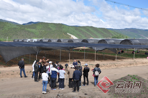 美丽中国梦生态中国行迪庆_生态迪庆种植基地_生态文明与建设美丽中国梦