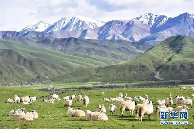 建设生态文明 共创美丽中国梦_生态文明建设_美丽中国建设