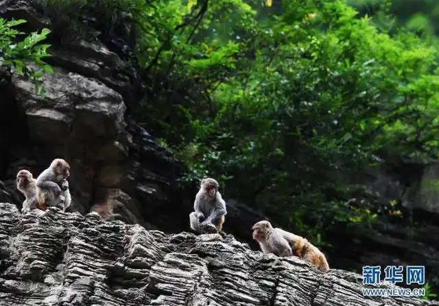 生态文明建设_建设生态文明 共创美丽中国梦_美丽中国建设