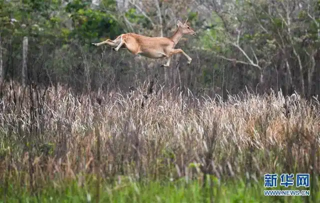生态文明建设_建设生态文明 共创美丽中国梦_美丽中国建设
