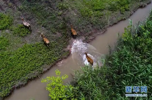 建设生态文明 共创美丽中国梦_生态文明建设_美丽中国建设