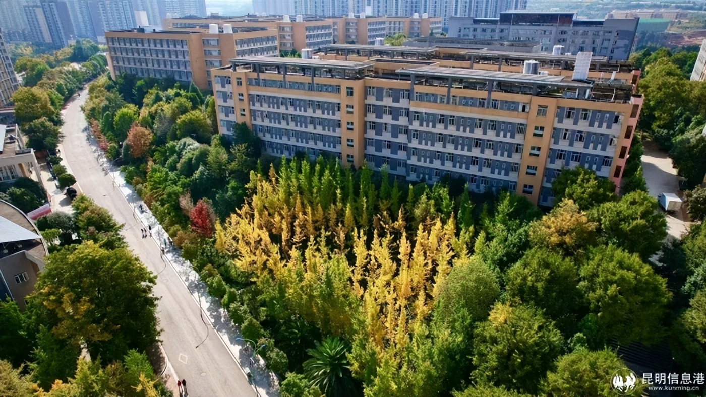 国家示范性高等职业院校_云南昆明专科大学排名_云南交通职业技术学院