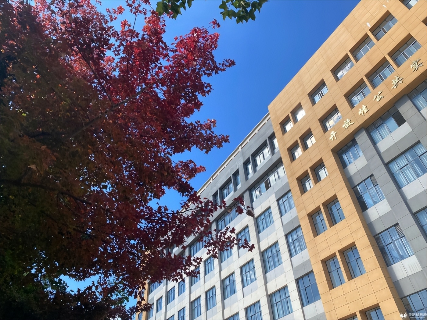 云南昆明专科大学排名_云南交通职业技术学院_国家示范性高等职业院校