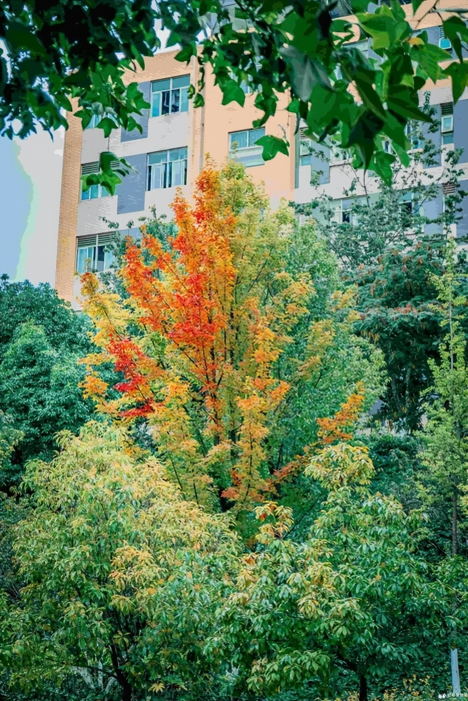 云南交通职业技术学院_国家示范性高等职业院校_云南昆明专科大学排名