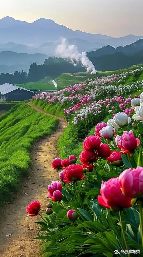 技术分析实战指南_斐波那契回调理论详解_外汇黄金分割