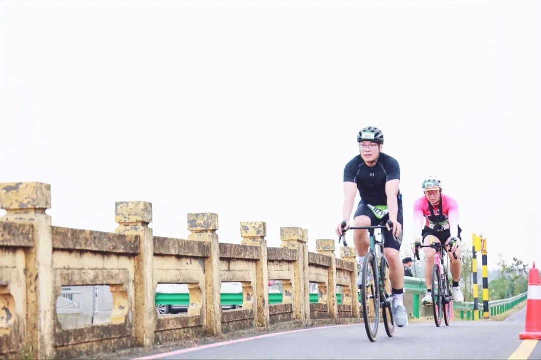 海湾国家森林公园红叶节_奉贤海湾森林公园_梅园赏花旅游