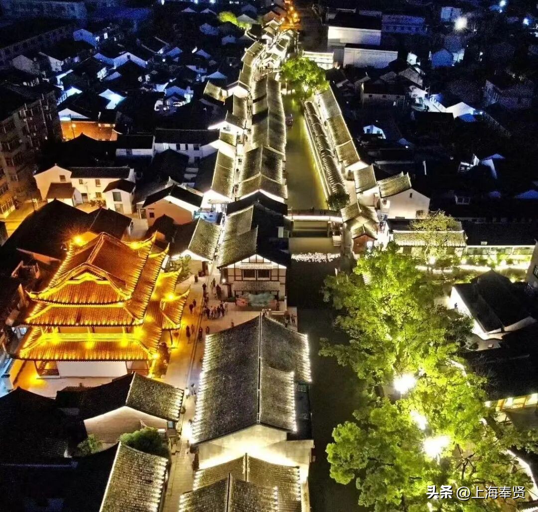 奉贤旅游路线_奉贤海湾森林公园_奉贤音乐会街舞活动