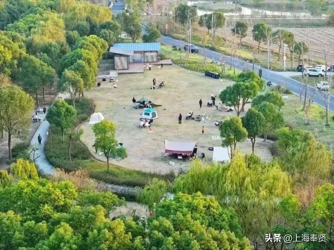 奉贤海湾森林公园_奉贤旅游路线_奉贤音乐会街舞活动