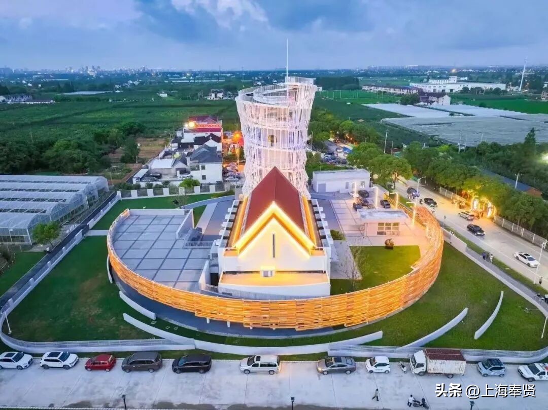 奉贤旅游路线_奉贤海湾森林公园_奉贤音乐会街舞活动