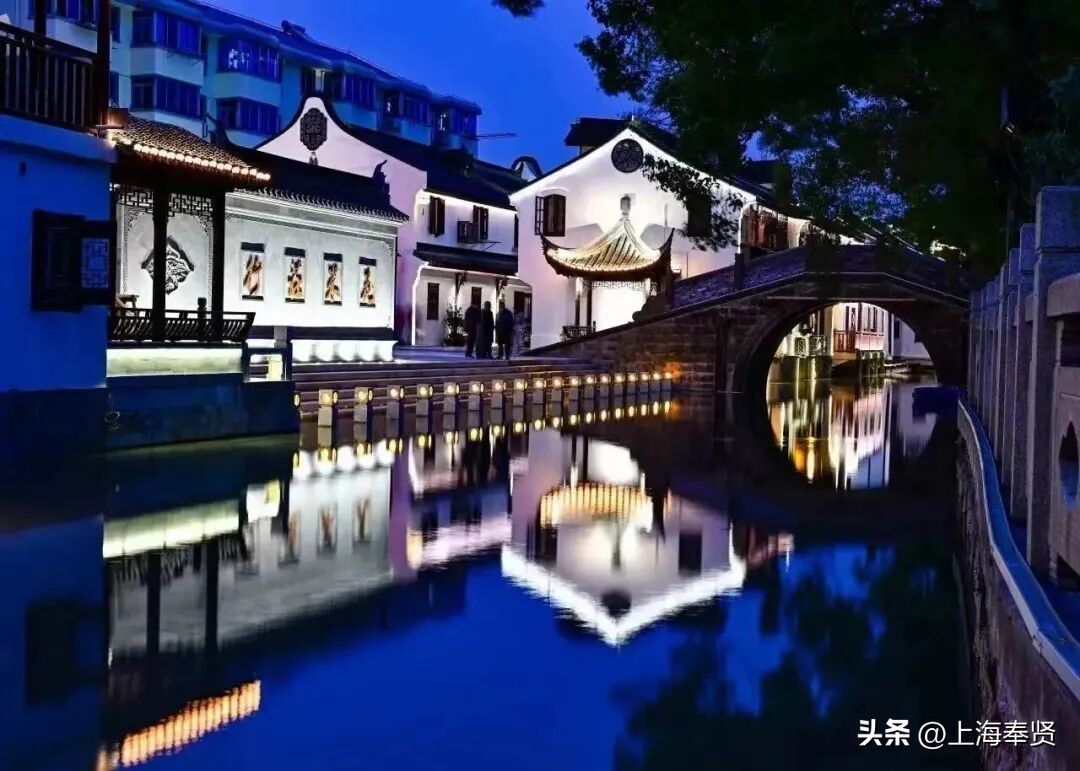 奉贤旅游路线_奉贤海湾森林公园_奉贤音乐会街舞活动