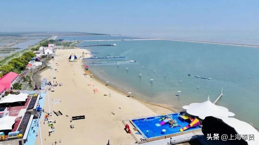 奉贤音乐会街舞活动_奉贤海湾森林公园_奉贤旅游路线