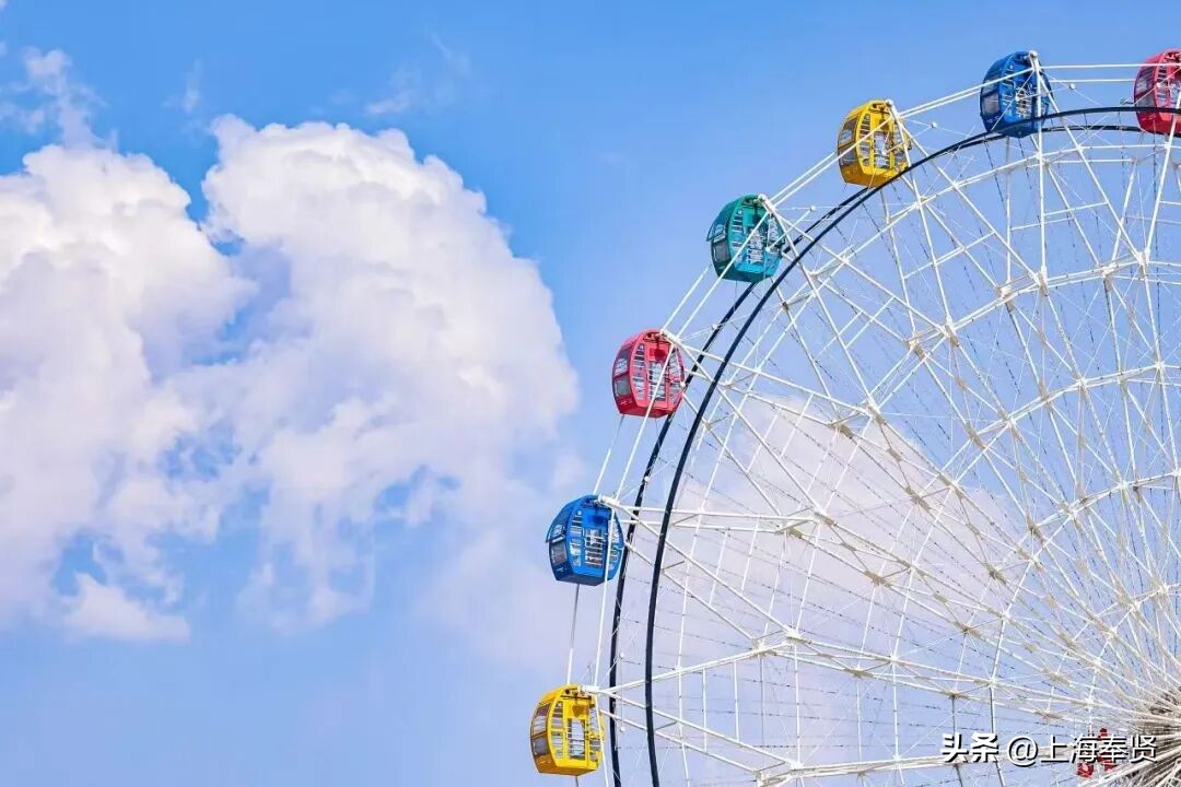 奉贤音乐会街舞活动_奉贤旅游路线_奉贤海湾森林公园