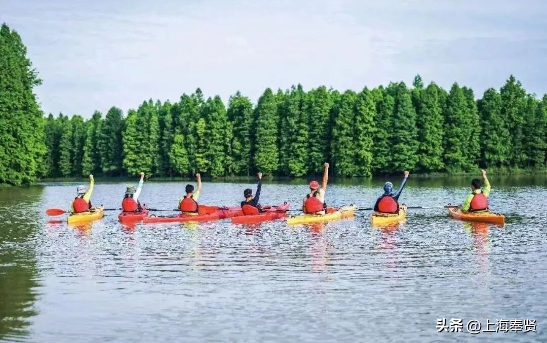 奉贤海湾森林公园_奉贤旅游路线_奉贤音乐会街舞活动