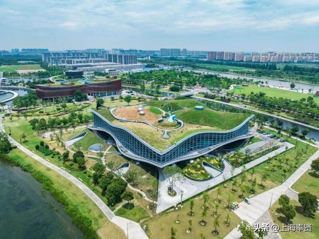 奉贤海湾森林公园_奉贤音乐会街舞活动_奉贤旅游路线