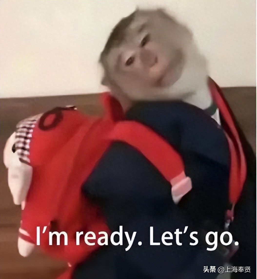 冠军之家夜市活动_奉贤海湾森林公园_奉贤海湾镇旅游攻略