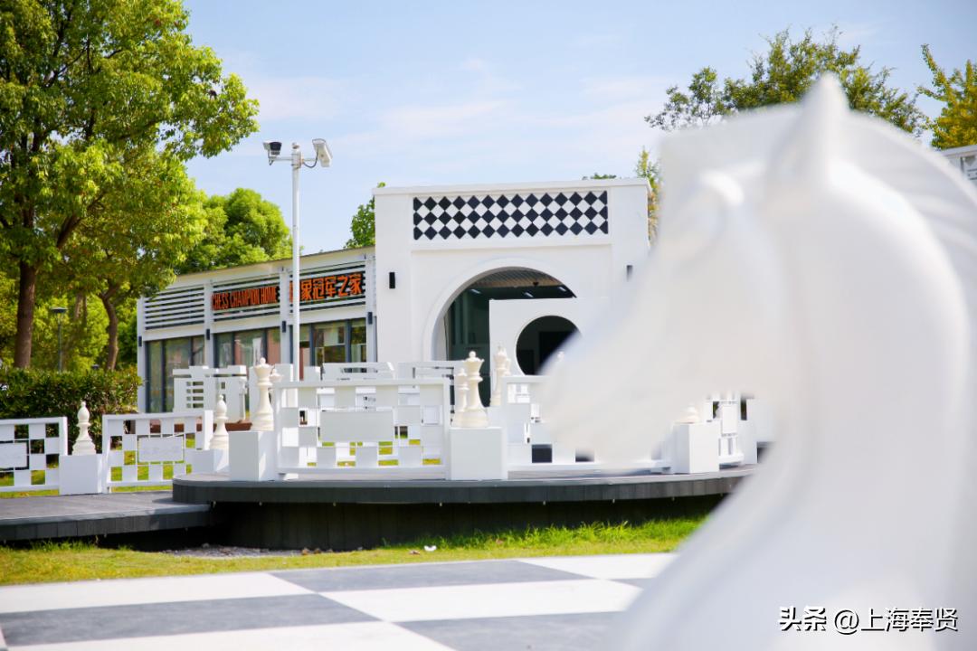 奉贤海湾森林公园_冠军之家夜市活动_奉贤海湾镇旅游攻略