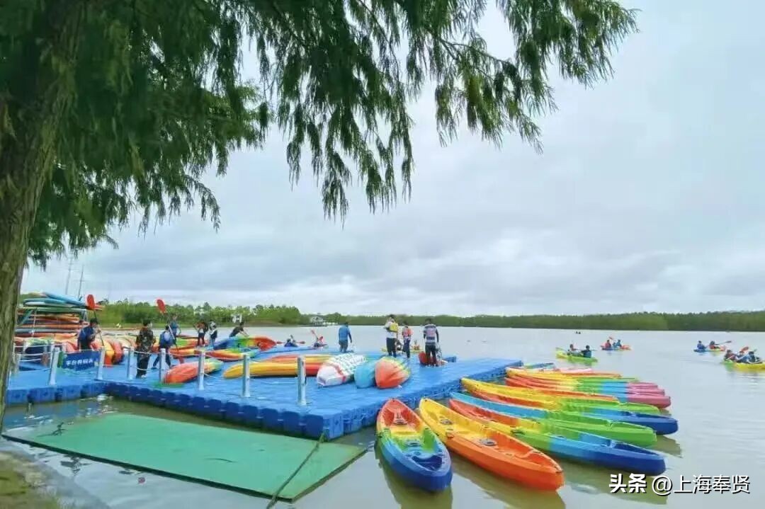 奉贤海湾镇旅游攻略_奉贤海湾森林公园_冠军之家夜市活动