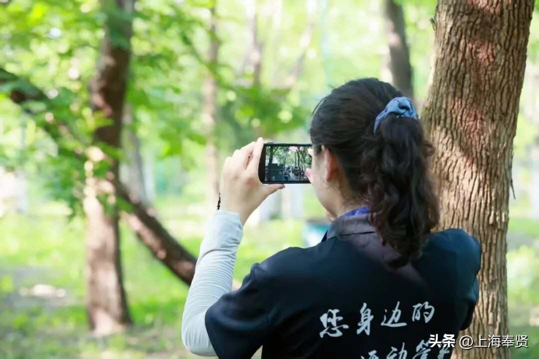 奉贤海湾镇旅游攻略_冠军之家夜市活动_奉贤海湾森林公园