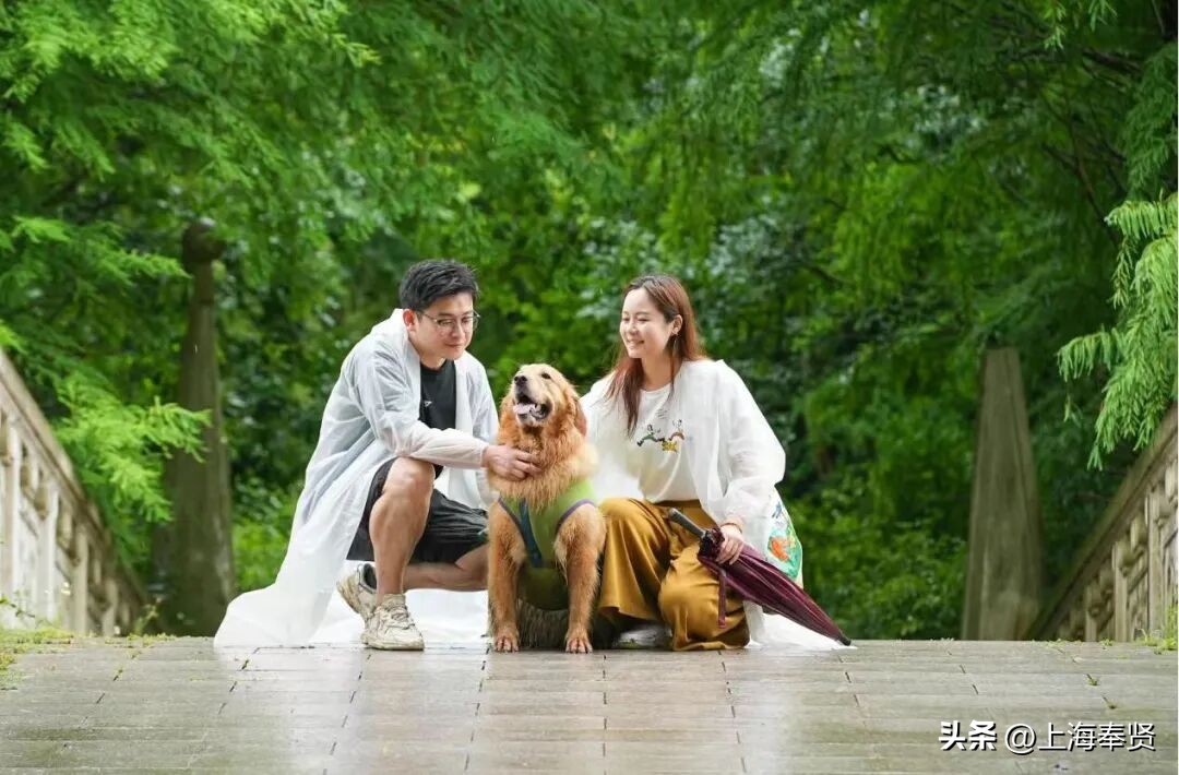 冠军之家夜市活动_奉贤海湾森林公园_奉贤海湾镇旅游攻略
