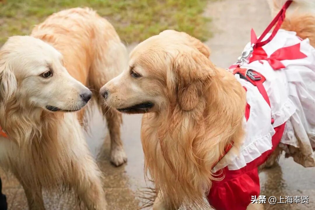 奉贤海湾森林公园_冠军之家夜市活动_奉贤海湾镇旅游攻略