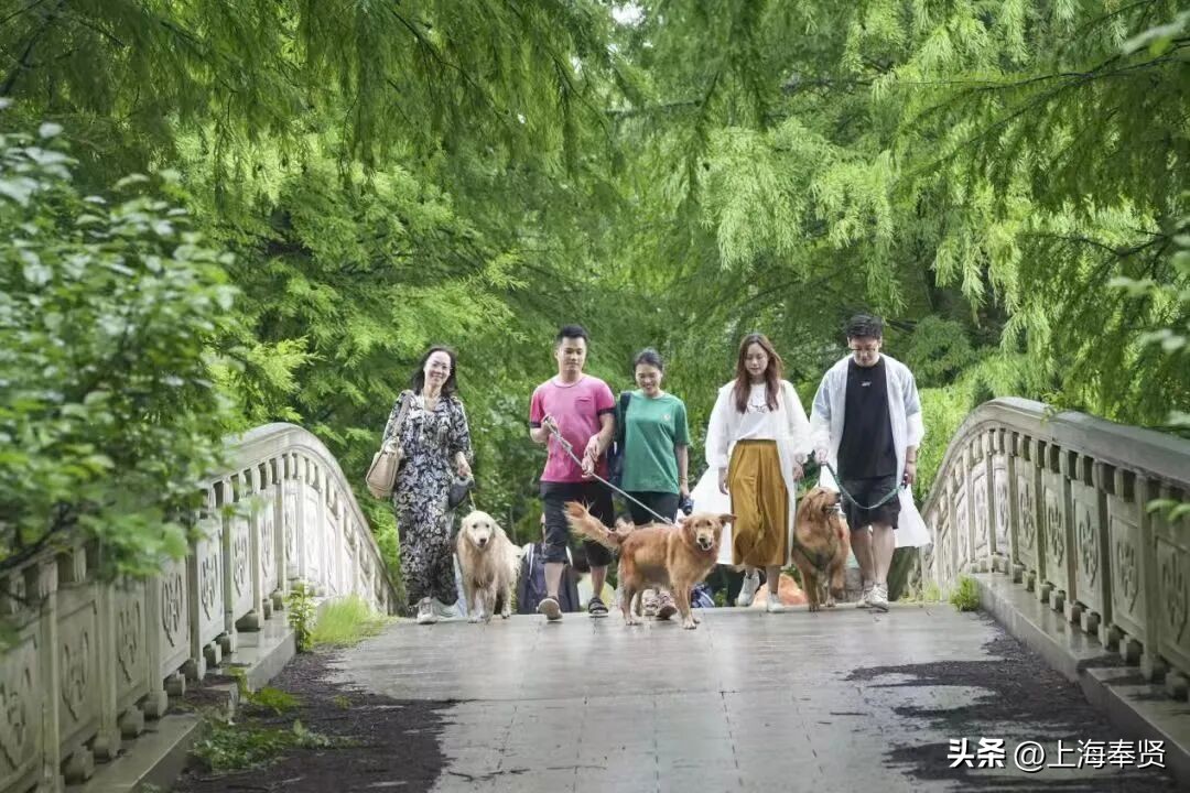 奉贤海湾镇旅游攻略_奉贤海湾森林公园_冠军之家夜市活动