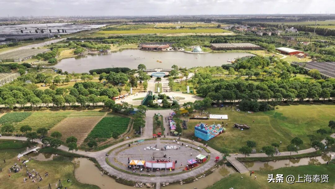奉贤海湾森林公园_冠军之家夜市活动_奉贤海湾镇旅游攻略