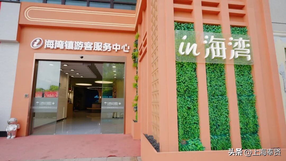 奉贤海湾镇旅游攻略_冠军之家夜市活动_奉贤海湾森林公园