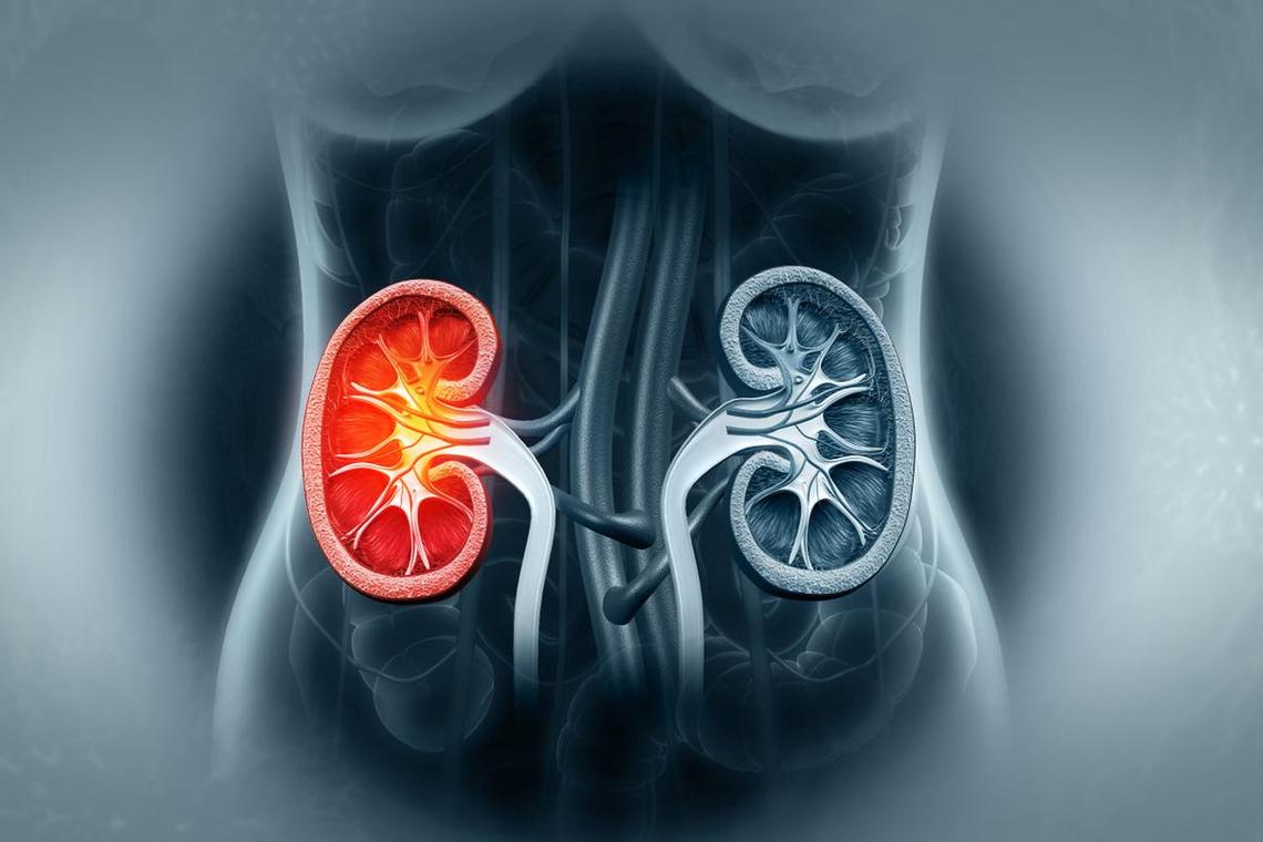 补肾黑枸杞好处_长期喝黑枸杞皮肤好得不得了_黑枸杞补肾抗疲劳