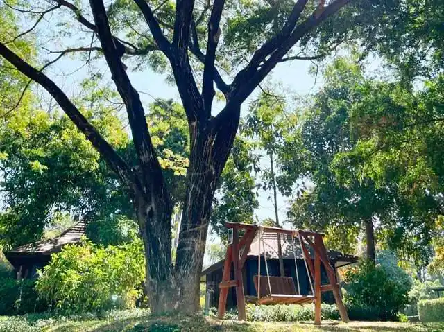 泰国旅游价格飞涨_泰国旅游成本增加_甲米岛和苏梅岛