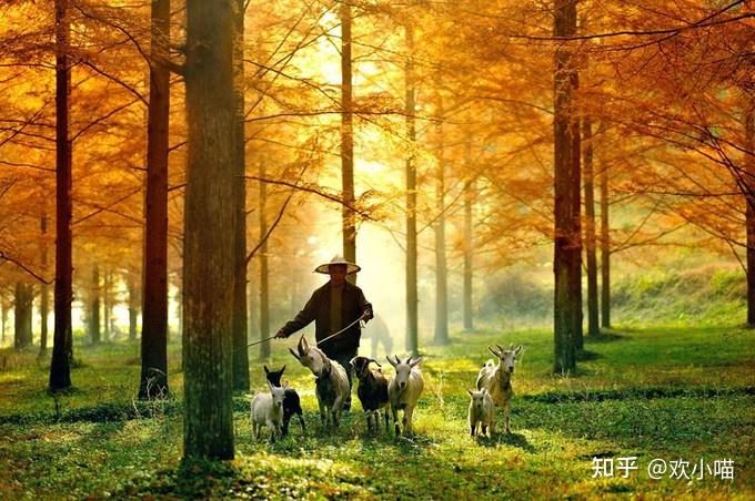 恩施市旅游局官网_恩施秘境旅游攻略_恩施大峡谷旅游攻略