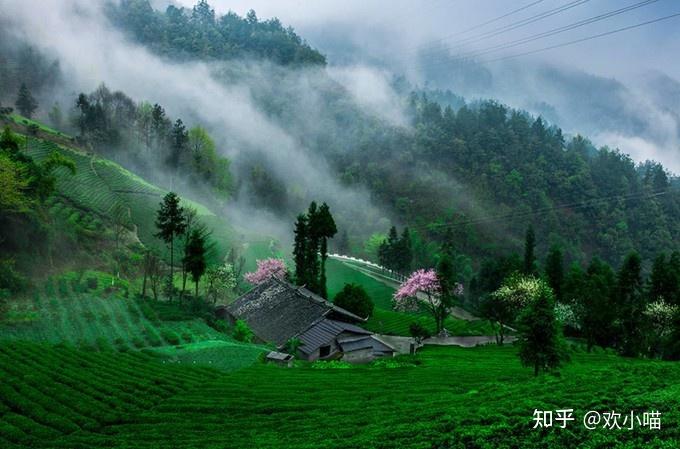 恩施市旅游局官网_恩施秘境旅游攻略_恩施大峡谷旅游攻略