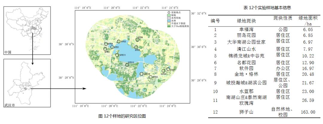 城市蓝绿空间生态效应_城市建成环境与人类活动_生态系统的功能是什么