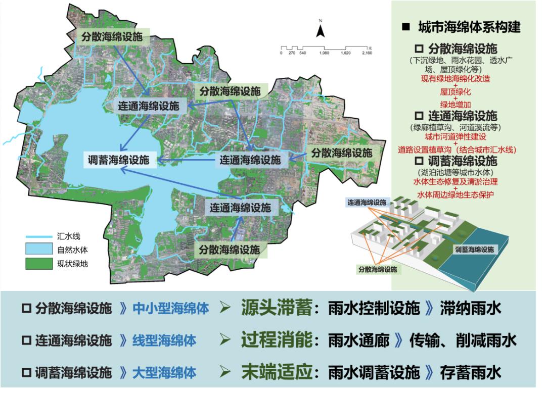 城市蓝绿空间生态效应_城市建成环境与人类活动_生态系统的功能是什么