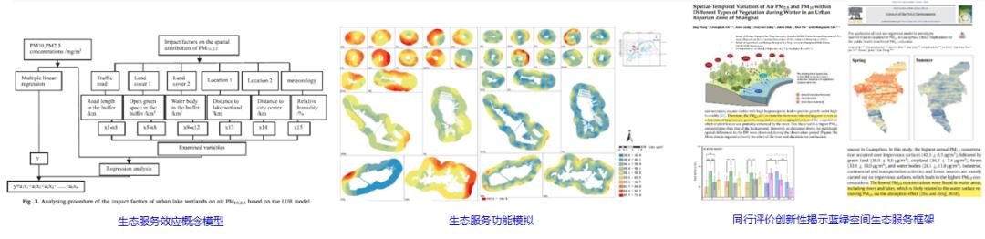 生态系统的功能是什么_城市建成环境与人类活动_城市蓝绿空间生态效应