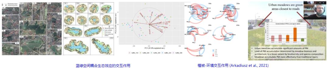 城市蓝绿空间生态效应_城市建成环境与人类活动_生态系统的功能是什么